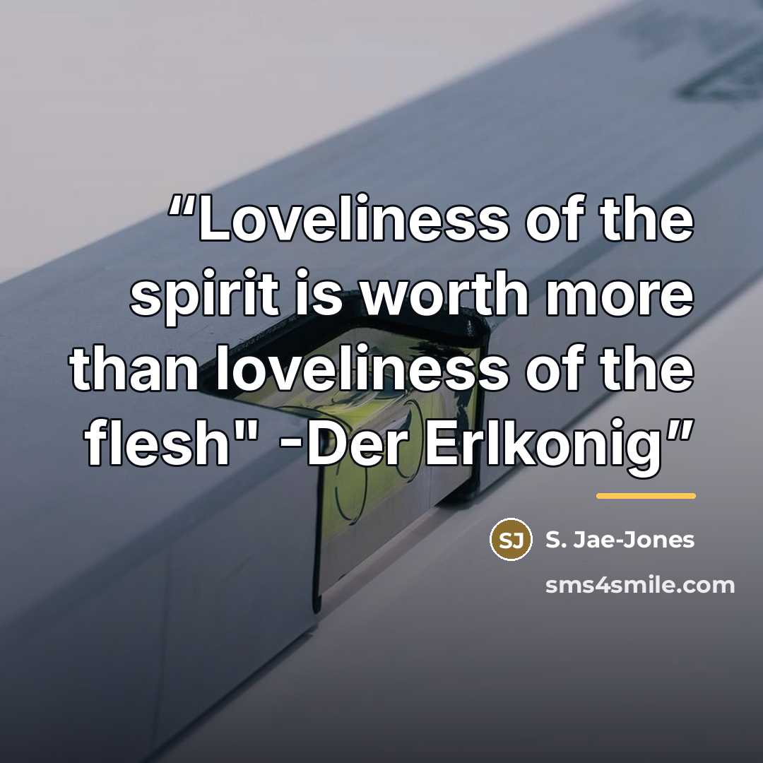 “Loveliness of the spirit is worth more than loveliness of the flesh" -Der Erlkonig” quote by S. Jae-Jones