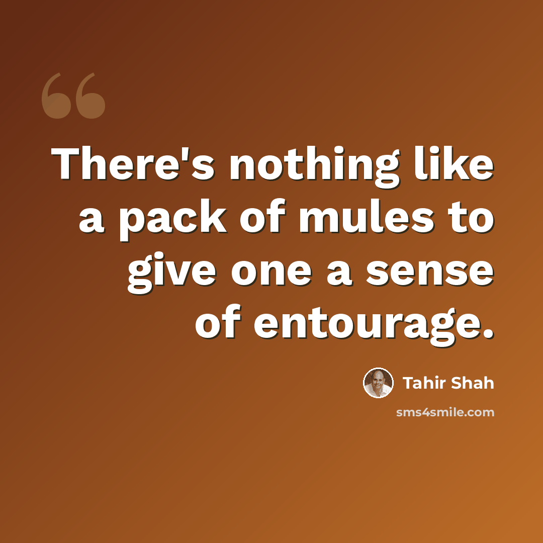 “There's nothing like a pack of mules to give one a sense of entourage.” quote by Tahir Shah