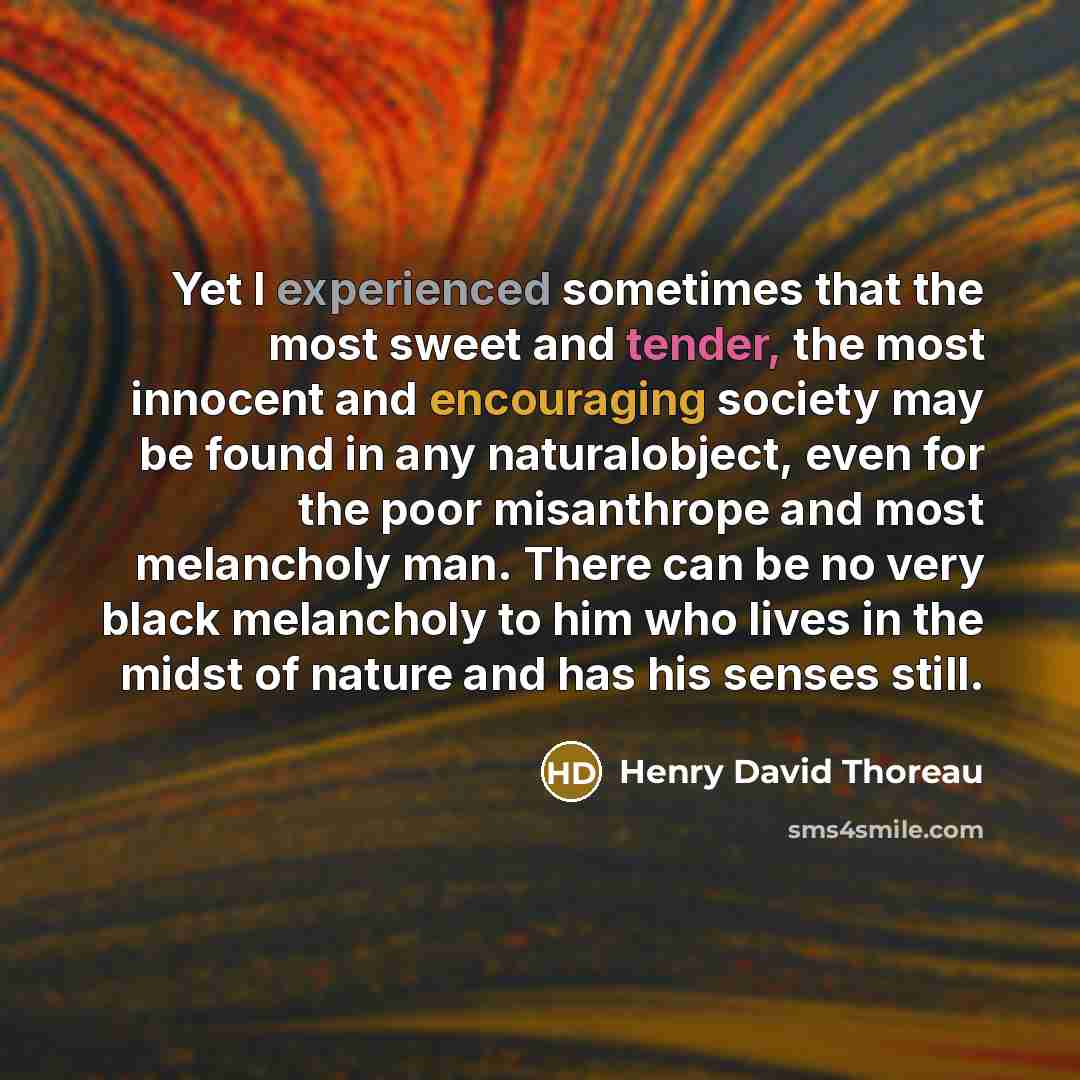 “Yet I experienced sometimes that the most sweet and tender, the most innocent and encouraging society may be found in any naturalobject, even for the poor misanthrope and most melancholy man. There can be no very black melancholy to him who lives in the midst of nature and has his senses still.” quote by Henry David Thoreau