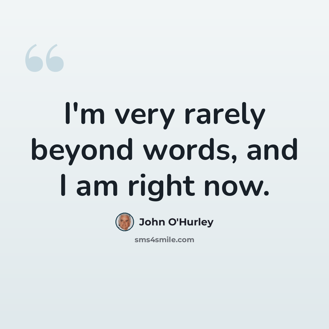 “I'm very rarely beyond words, and I am right now.” quote by John O'Hurley
