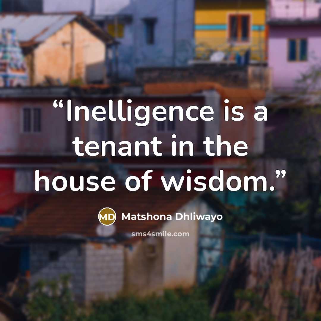 “Inelligence is a tenant in the house of wisdom.” quote by Matshona Dhliwayo