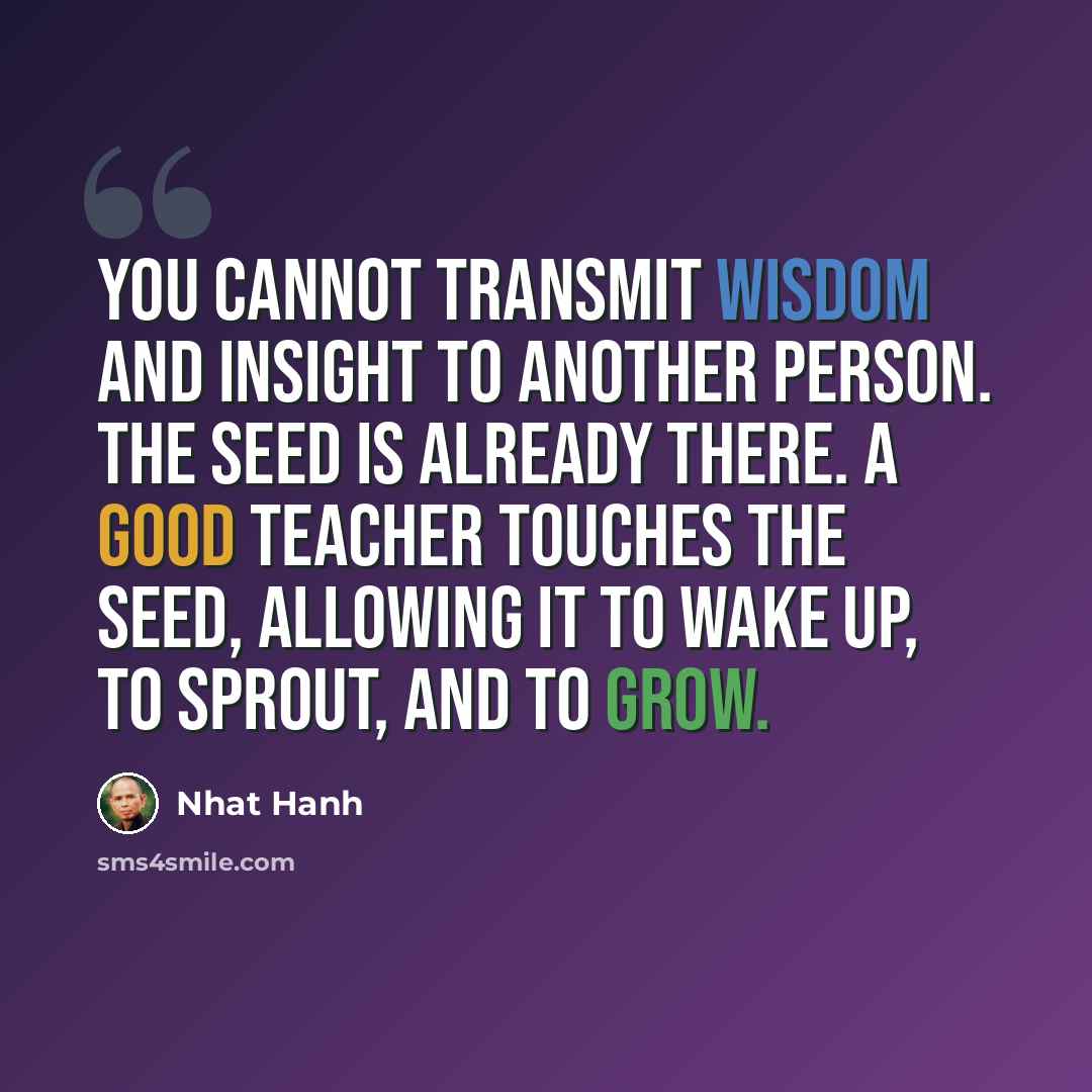 “You cannot transmit wisdom and insight to another person. The seed is already there. A good teacher touches the seed, allowing it to wake up, to sprout, and to grow.” quote by Nhat Hanh