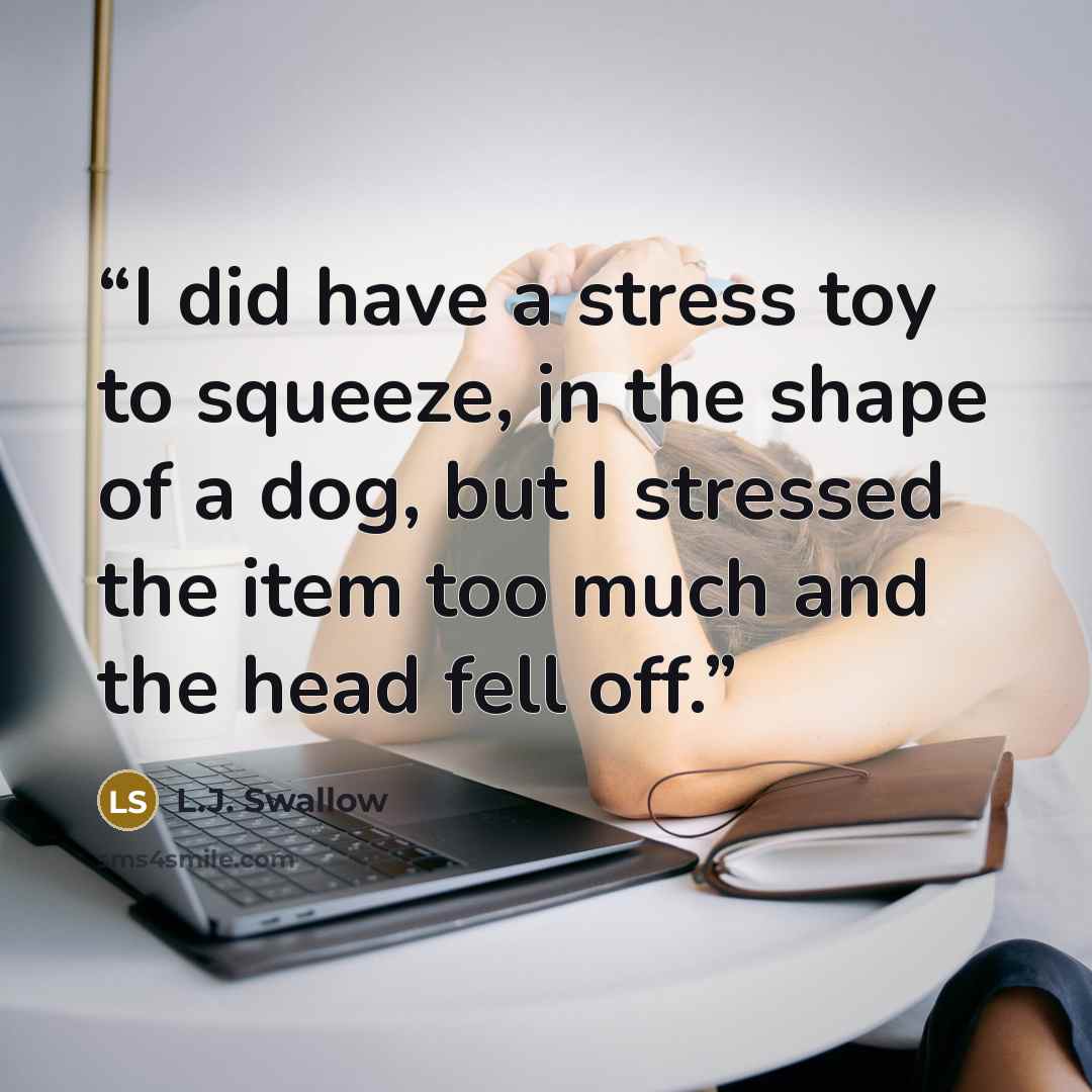 “I did have a stress toy to squeeze, in the shape of a dog, but I stressed the item too much and the head fell off.” quote by L.J. Swallow