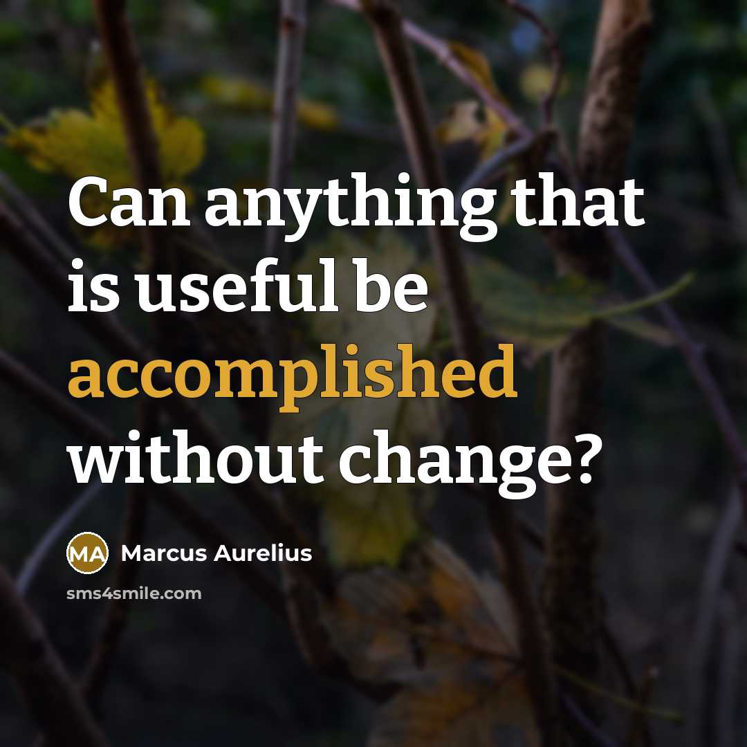“Can anything that is useful be accomplished without change?” quote by Marcus Aurelius