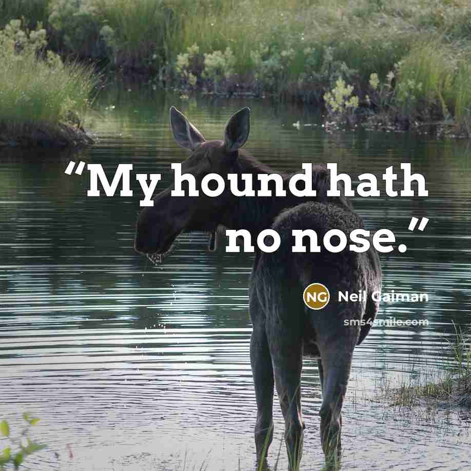 “My hound hath no nose.” quote by Neil Gaiman