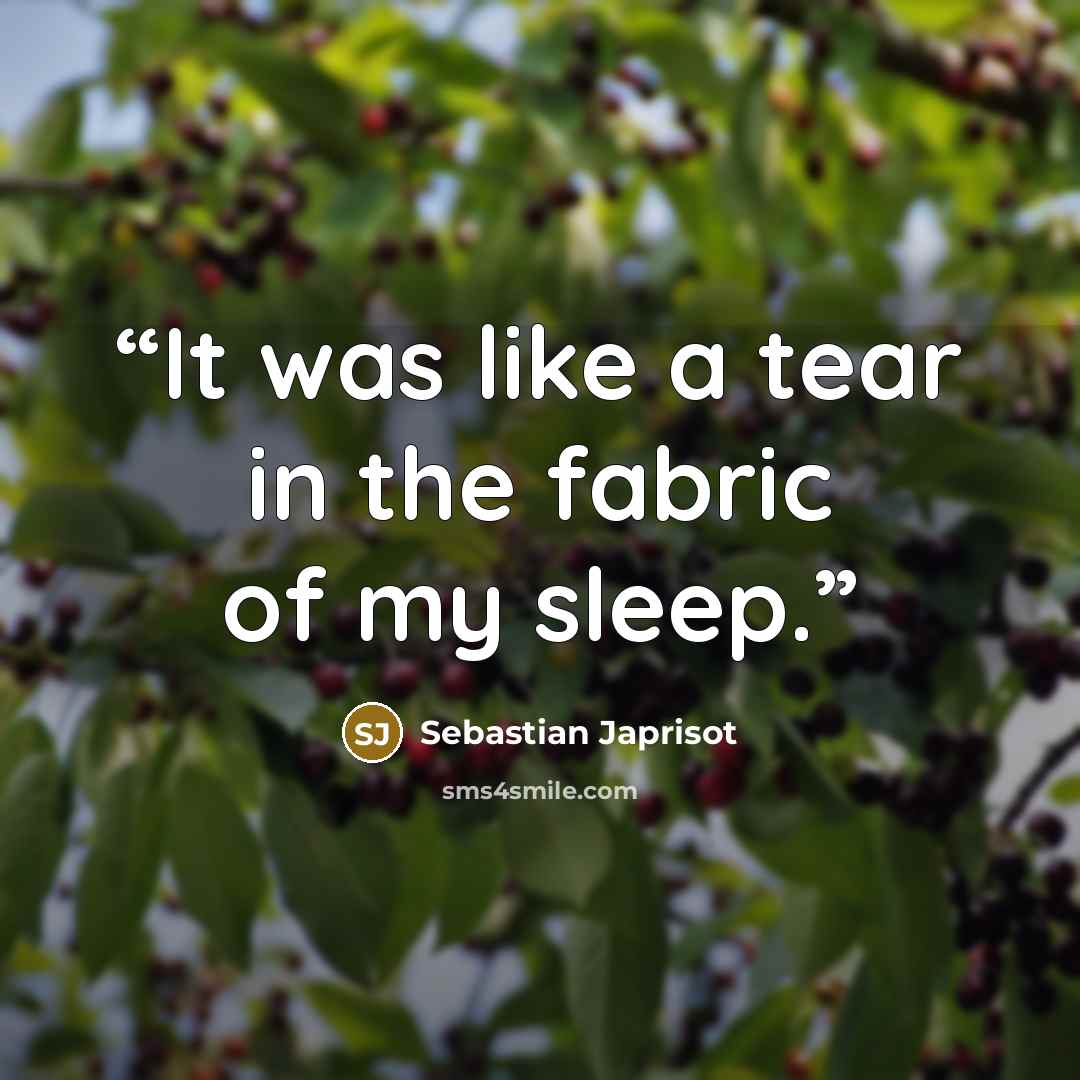 “It was like a tear in the fabric of my sleep.” quote by Sebastian Japrisot