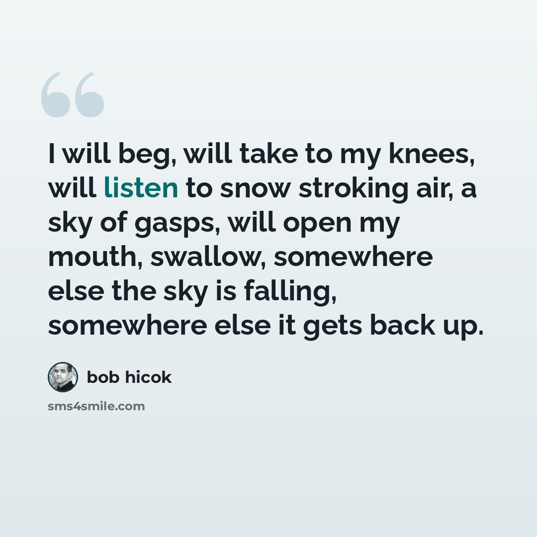 “I will beg, will take to my knees, will listen to snow stroking air, a sky of gasps, will open my mouth, swallow, somewhere else the sky is falling, somewhere else it gets back up.” quote by Bob Hicok