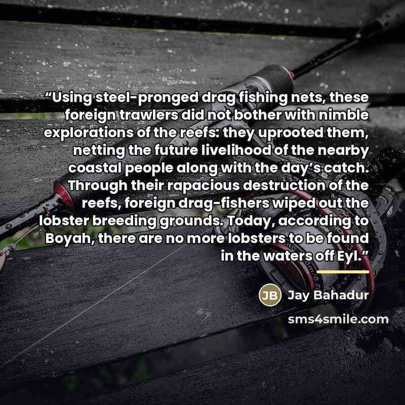 “Using steel-pronged drag fishing nets, these foreign trawlers did not bother with nimble explorations of the reefs: they uprooted them, netting the future livelihood of the nearby coastal people along with the day’s catch. Through their rapacious destruction of the reefs, foreign drag-fishers…” quote by Jay Bahadur
