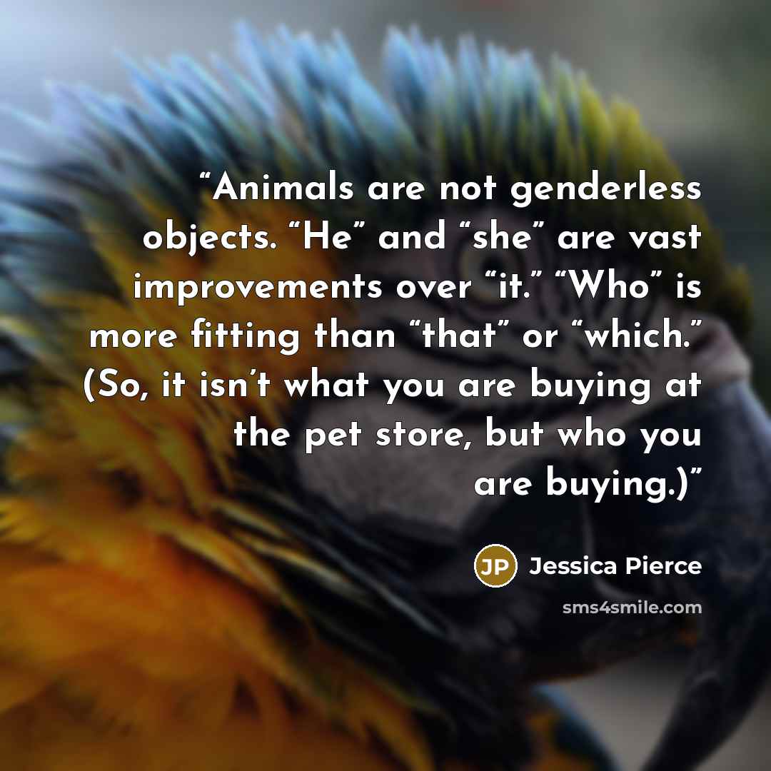 “Animals are not genderless objects. “He” and “she” are vast improvements over “it.” “Who” is more fitting than “that” or “which.” (So, it isn’t what you are buying at the pet store, but who you are buying.)” quote by Jessica Pierce