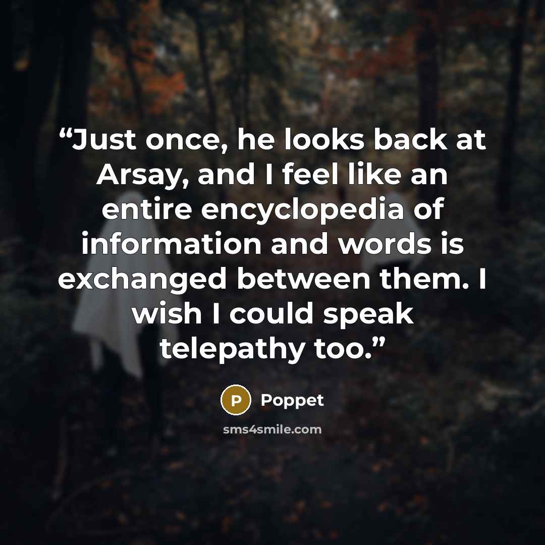“Just once, he looks back at Arsay, and I feel like an entire encyclopedia of information and words is exchanged between them. I wish I could speak telepathy too.” quote by Poppet