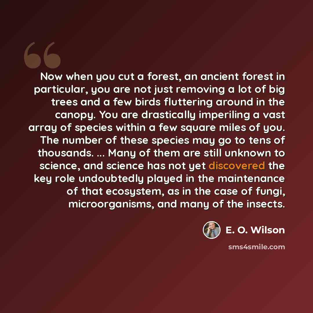 “Now when you cut a forest, an ancient forest in particular, you are not just removing a lot of big trees and a few birds fluttering around in the canopy. You are drastically imperiling a vast array of species within a few square miles of you. The number of these species may go to tens of…” quote by E. O. Wilson