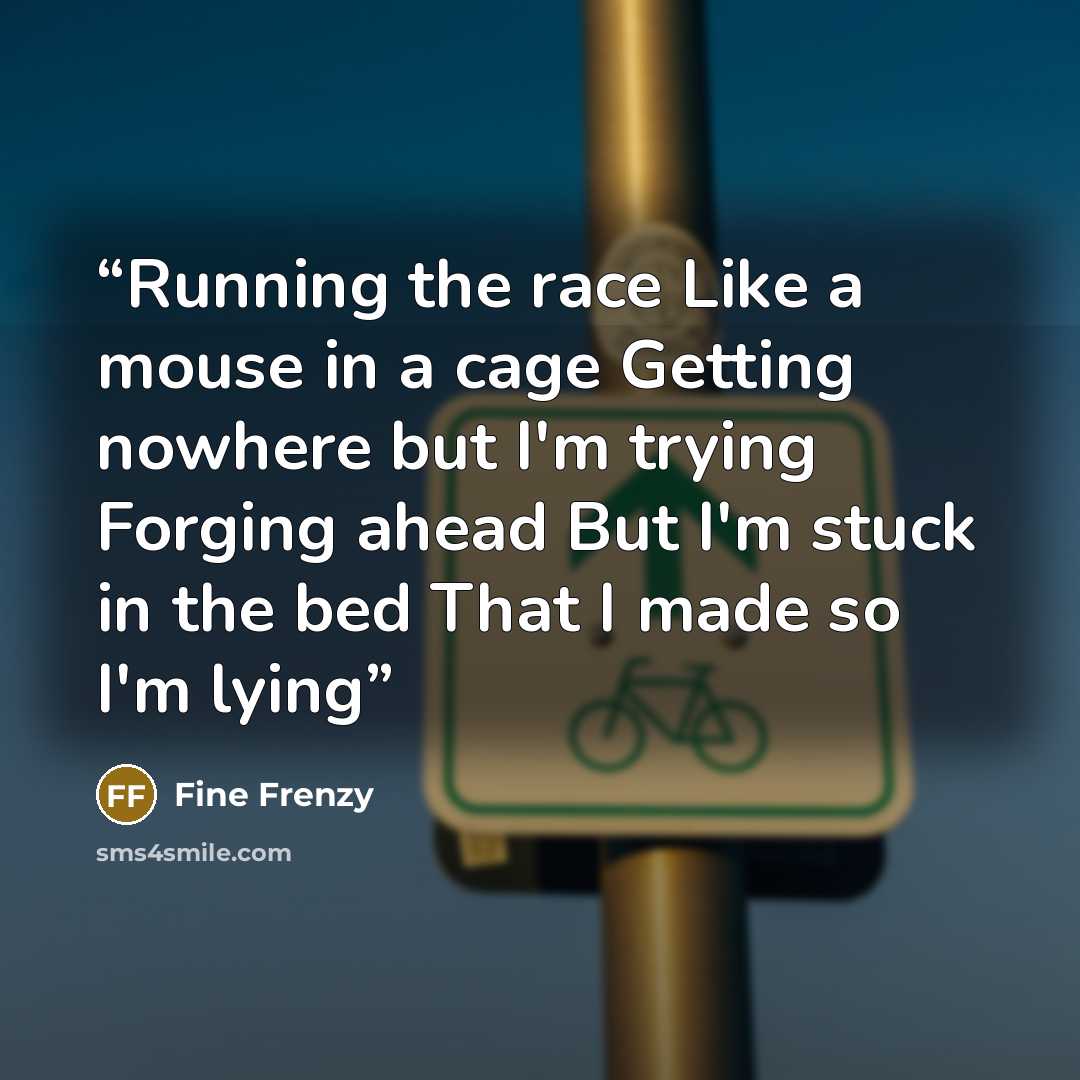 “Running the race Like a mouse in a cage Getting nowhere but I'm trying Forging ahead But I'm stuck in the bed That I made so I'm lying” quote by Fine Frenzy