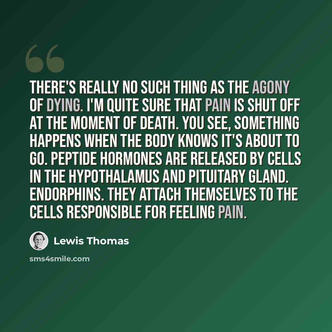 “There's really no such thing as the agony of dying. I'm quite sure that pain is shut off at the moment of death. You see, something happens when the body knows it's about to go. Peptide hormones are released by cells in the hypothalamus and pituitary gland. Endorphins. They attach themselves to…” quote by Lewis Thomas