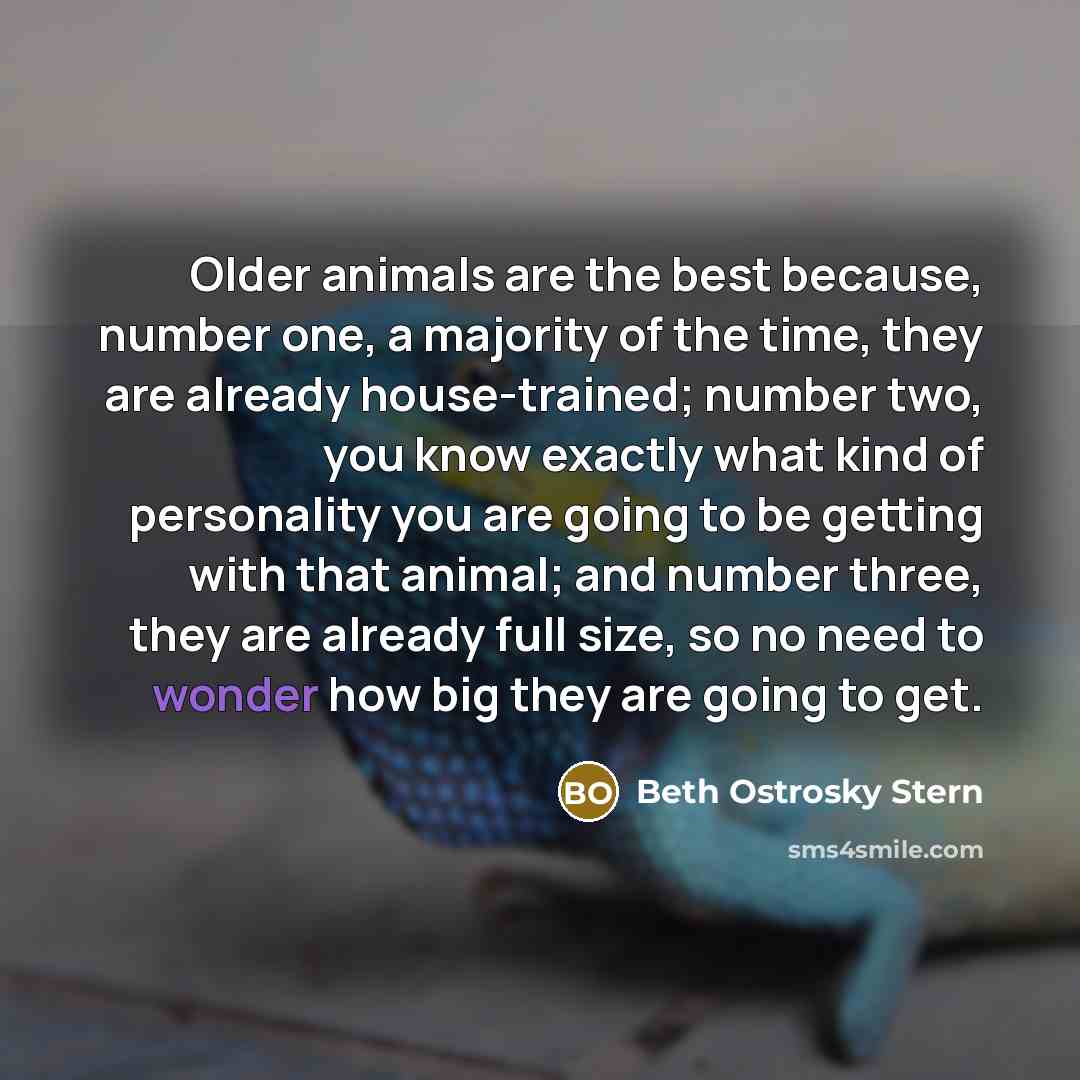 “Older animals are the best because, number one, a majority of the time, they are already house-trained; number two, you know exactly what kind of personality you are going to be getting with that animal; and number three, they are already full size, so no need to wonder how big they are going to…” quote by Beth Ostrosky Stern