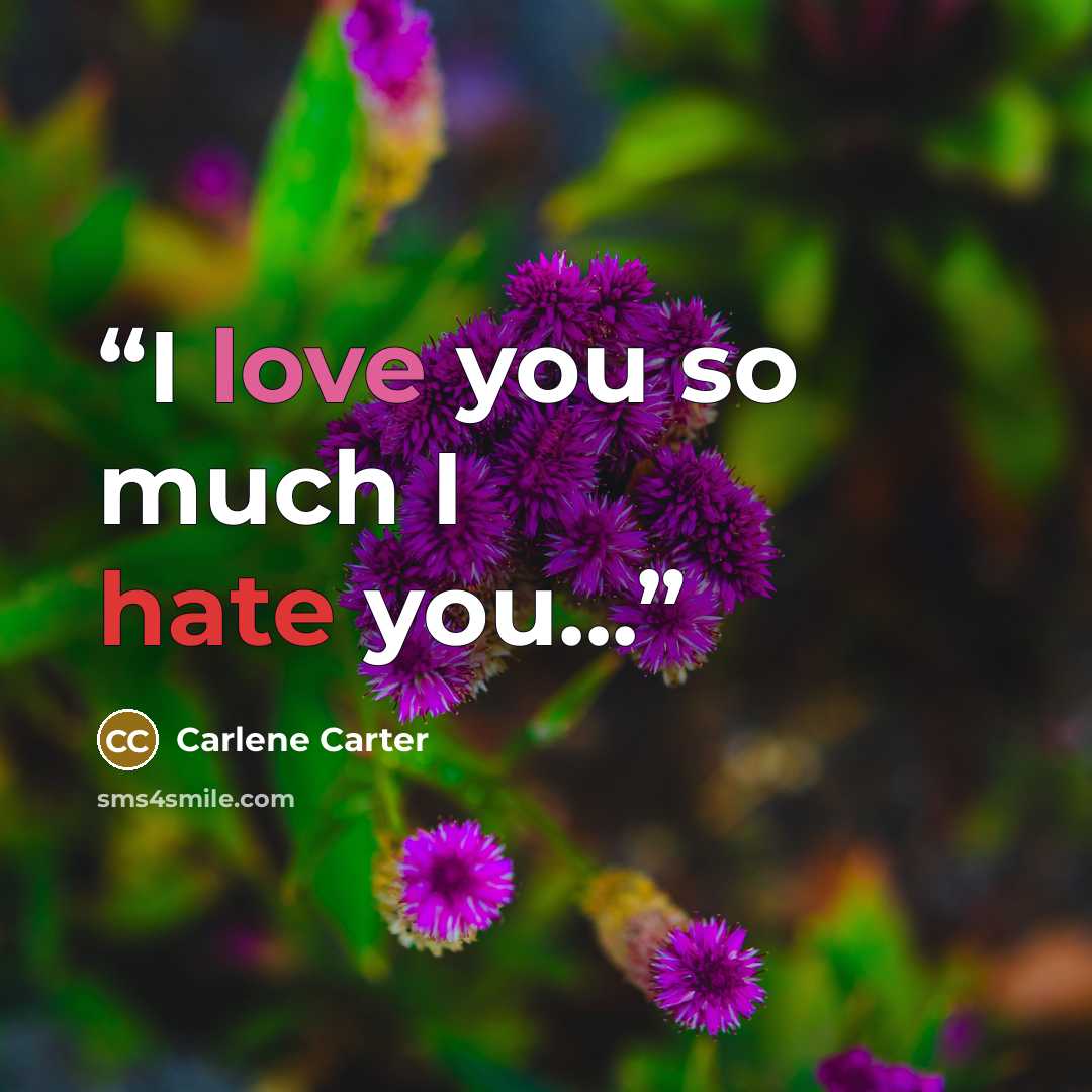 “I love you so much I hate you...” quote by Carlene Carter