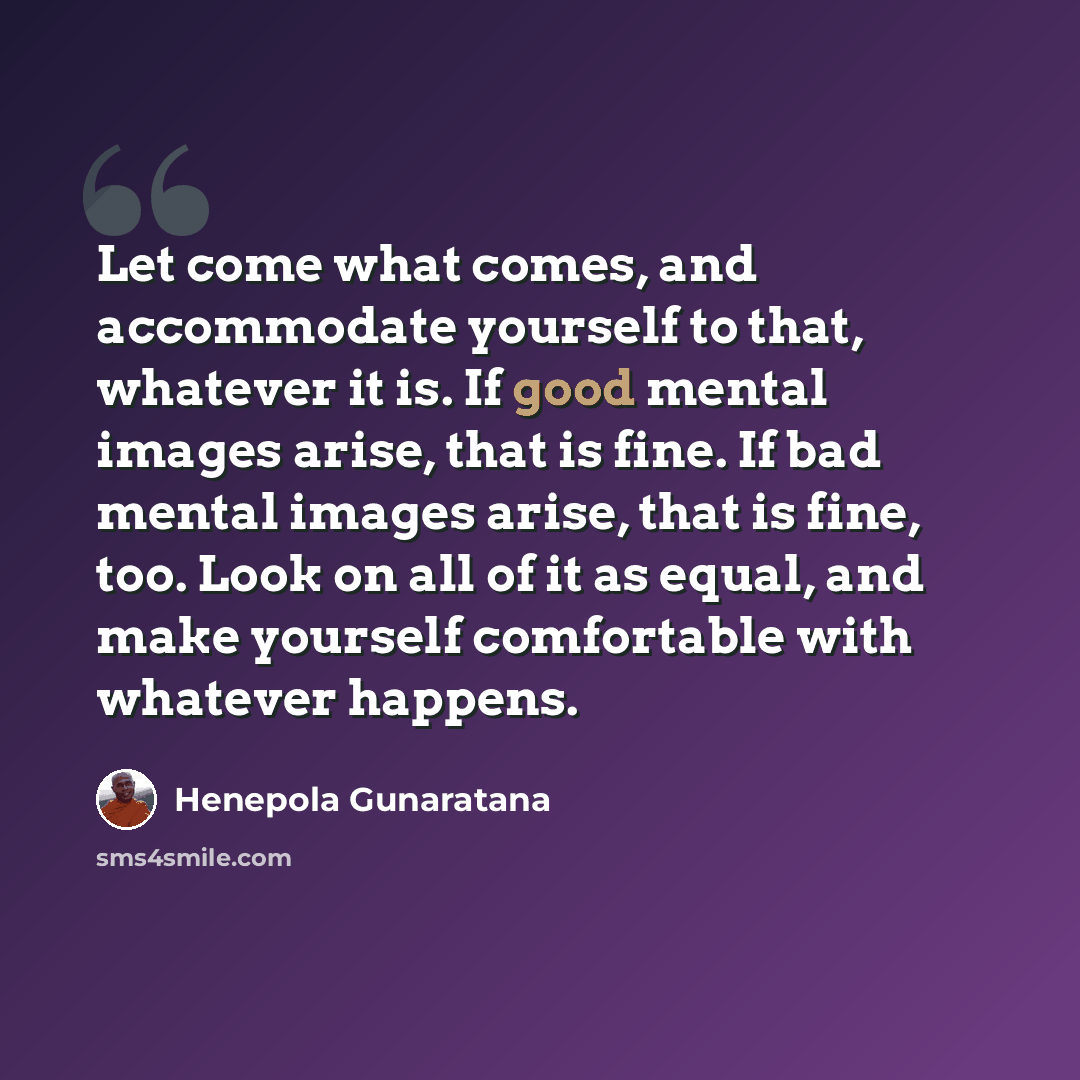 “Let come what comes, and accommodate yourself to that, whatever it is. If good mental images arise, that is fine. If bad mental images arise, that is fine, too. Look on all of it as equal, and make yourself comfortable with whatever happens.” quote by Henepola Gunaratana