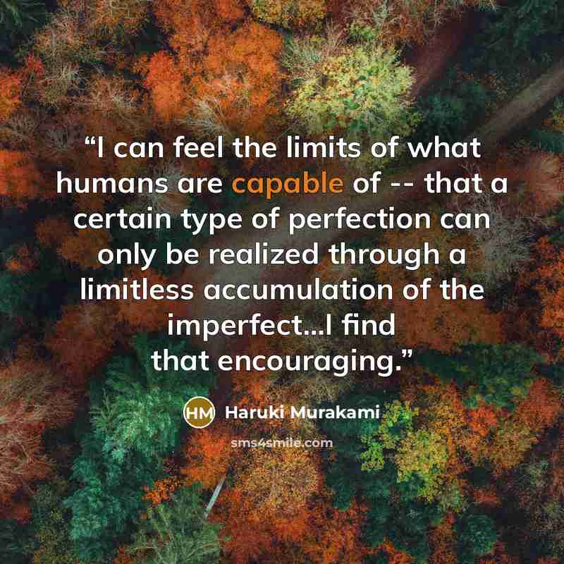 “I can feel the limits of what humans are capable of -- that a certain type of perfection can only be realized through a limitless accumulation of the imperfect...I find that encouraging.” quote by Haruki Murakami