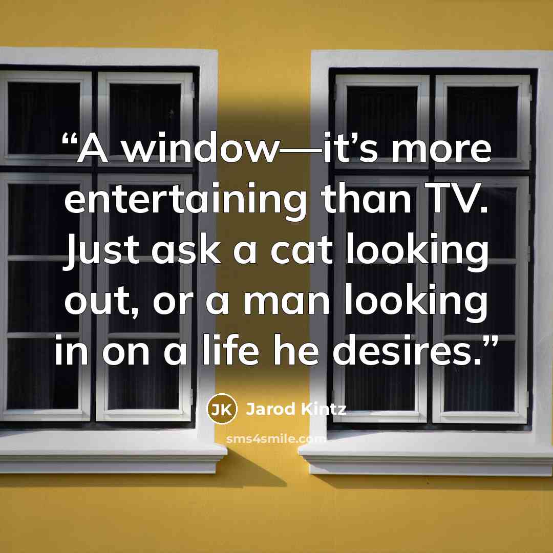 “A window—it’s more entertaining than TV. Just ask a cat looking out, or a man looking in on a life he desires.” quote by Jarod Kintz