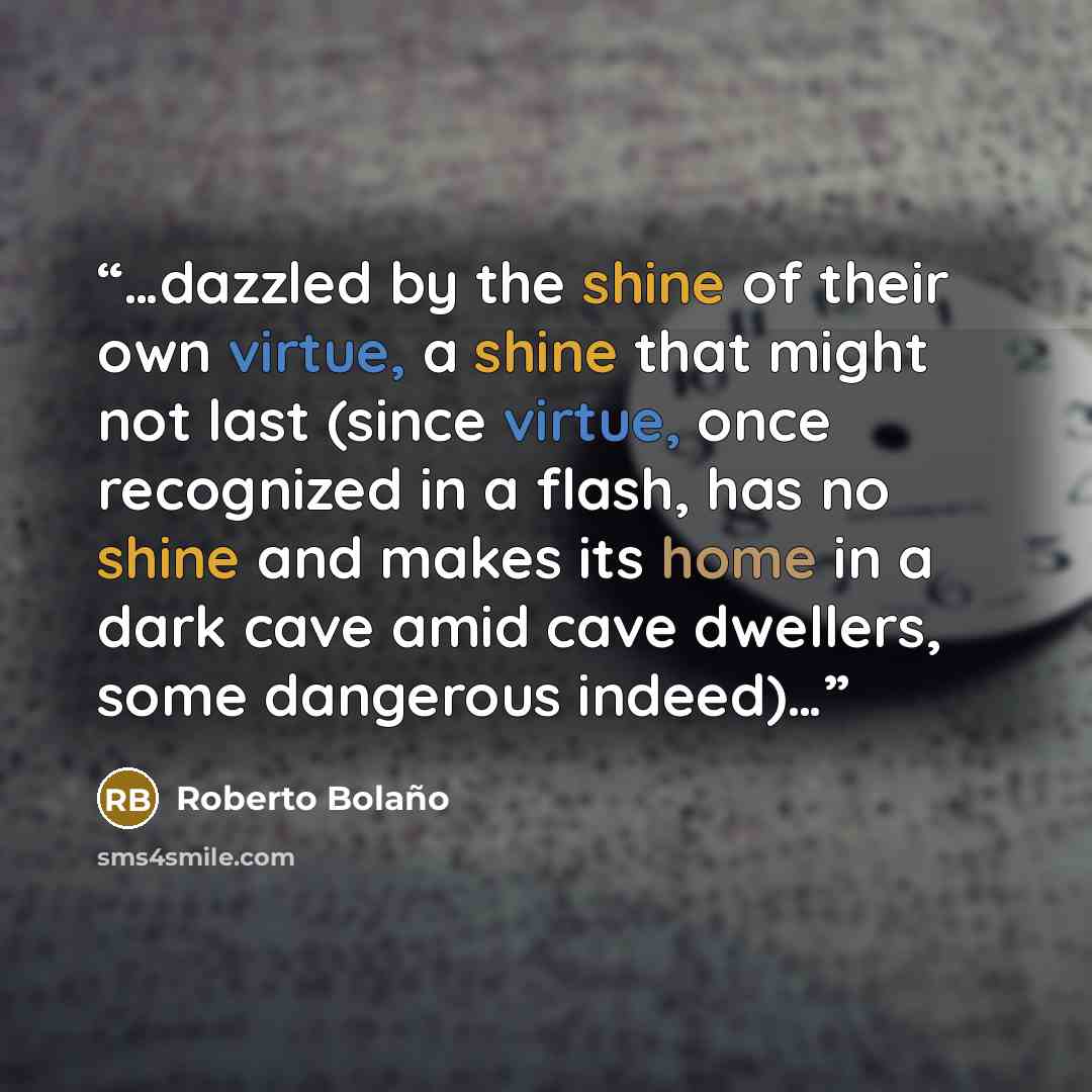 “…dazzled by the shine of their own virtue, a shine that might not last (since virtue, once recognized in a flash, has no shine and makes its home in a dark cave amid cave dwellers, some dangerous indeed)…” quote by Roberto Bolaño