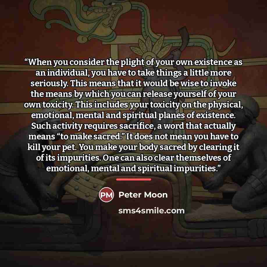 “When you consider the plight of your own existence as an individual, you have to take things a little more seriously. This means that it would be wise to invoke the means by which you can release yourself of your own toxicity. This includes your toxicity on the physical, emotional, mental and…” quote by Peter Moon