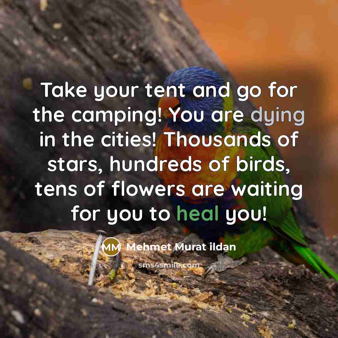 “Take your tent and go for the camping! You are dying in the cities! Thousands of stars, hundreds of birds, tens of flowers are waiting for you to heal you!” quote by Mehmet Murat Ildan