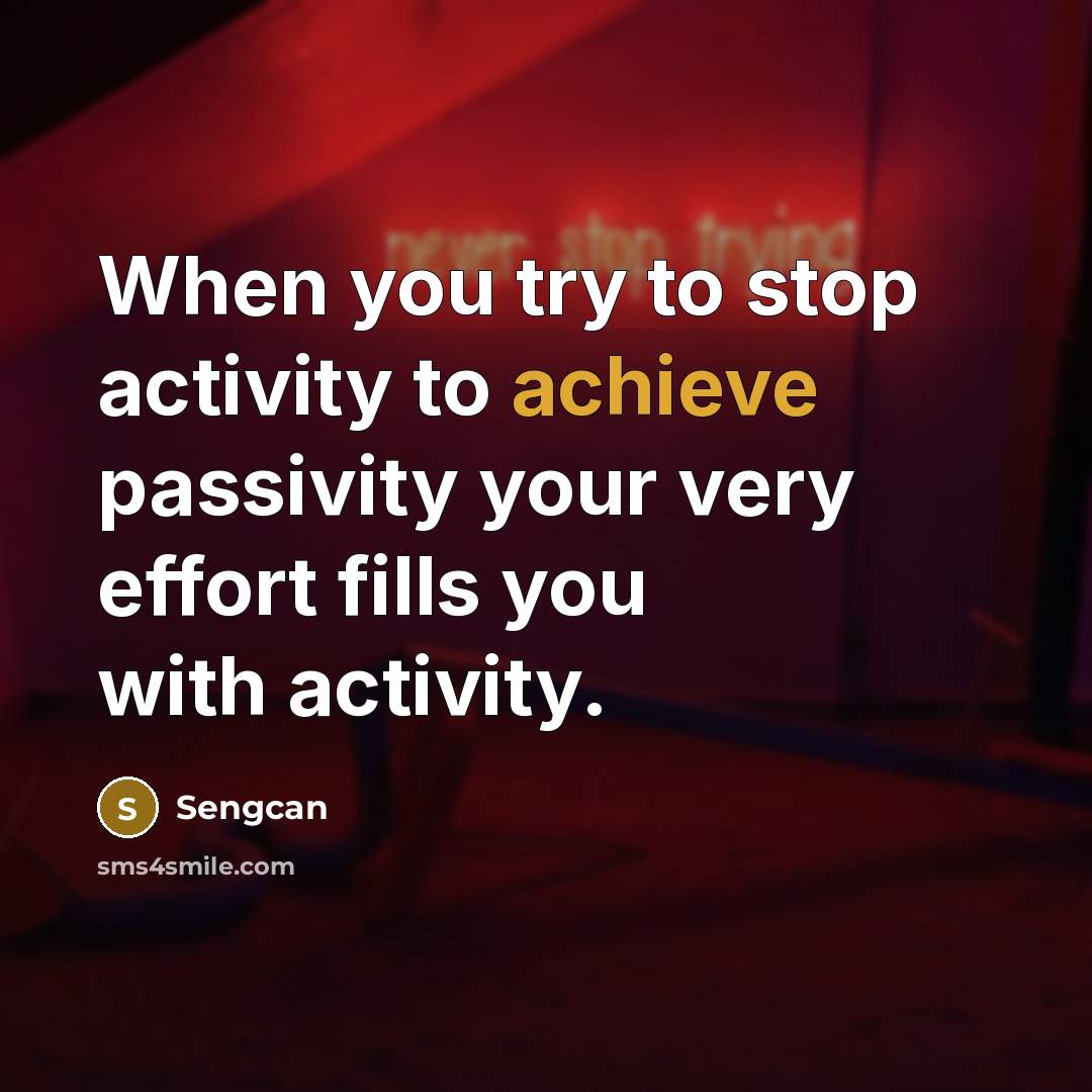“When you try to stop activity to achieve passivity your very effort fills you with activity.” quote by Sengcan