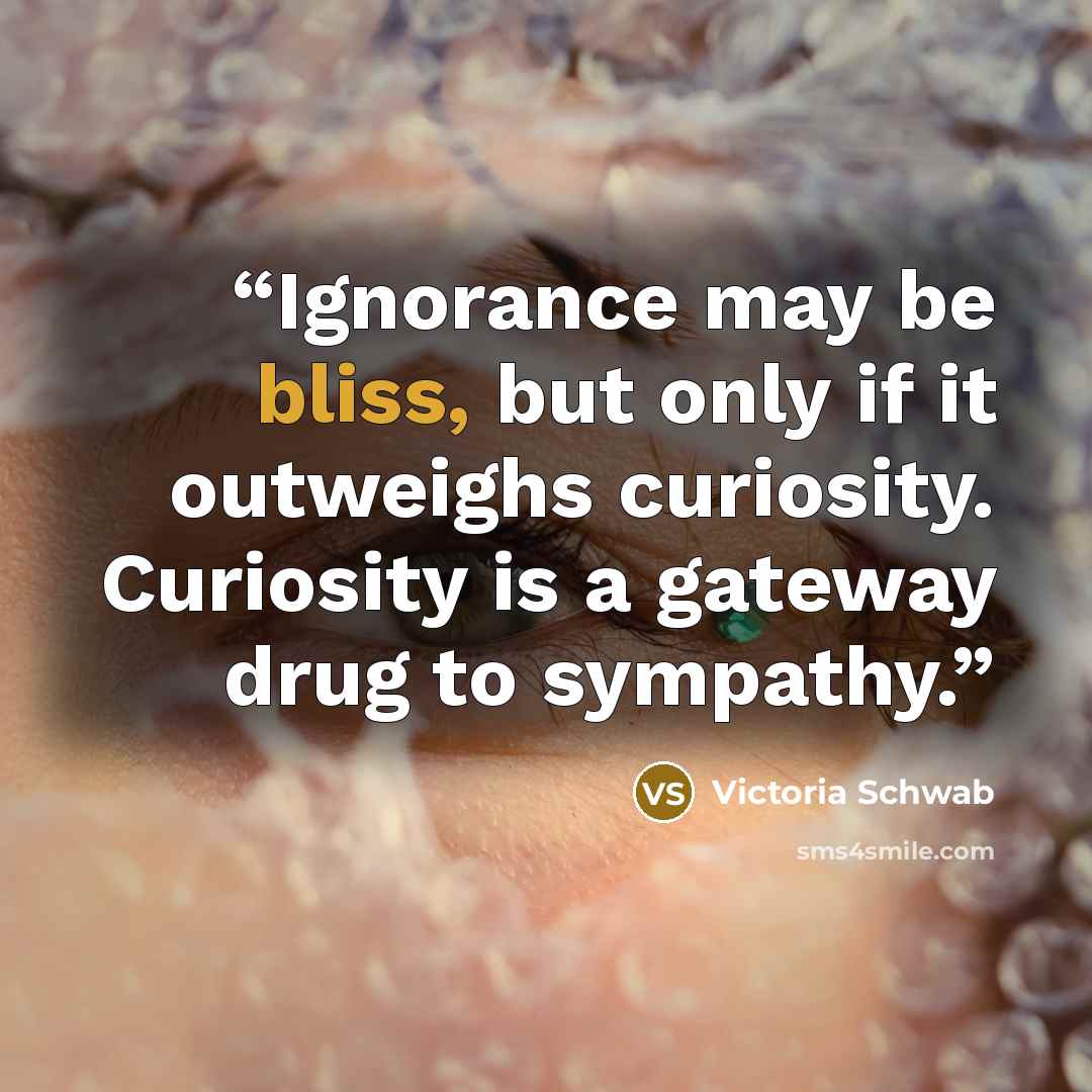 “Ignorance may be bliss, but only if it outweighs curiosity. Curiosity is a gateway drug to sympathy.” quote by Victoria Schwab