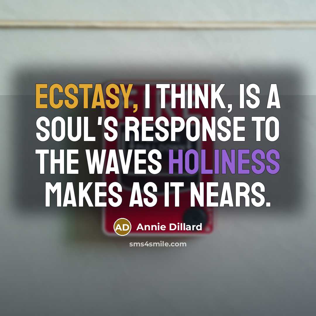 “Ecstasy, I think, is a soul's response to the waves holiness makes as it nears.” quote by Annie Dillard