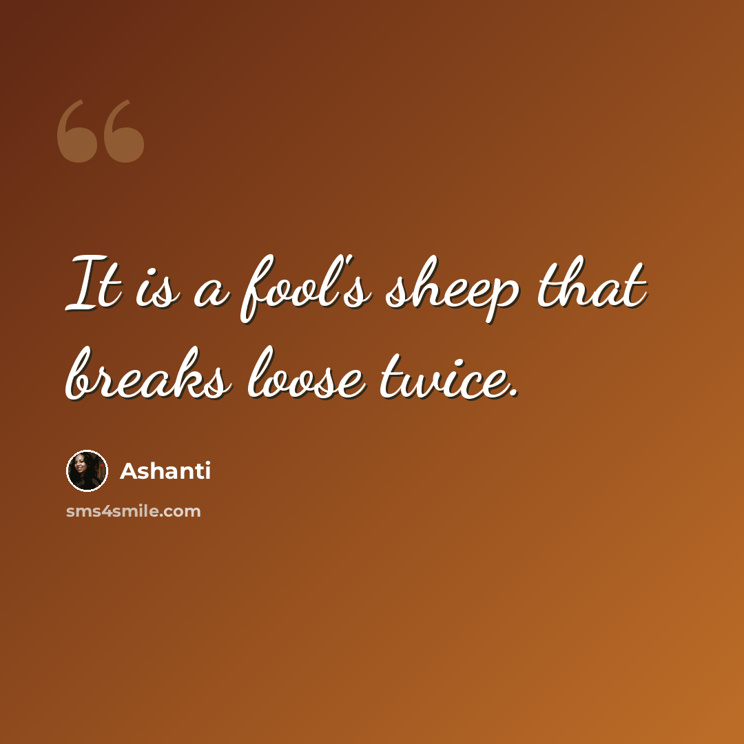 “It is a fool's sheep that breaks loose twice.” quote by Ashanti