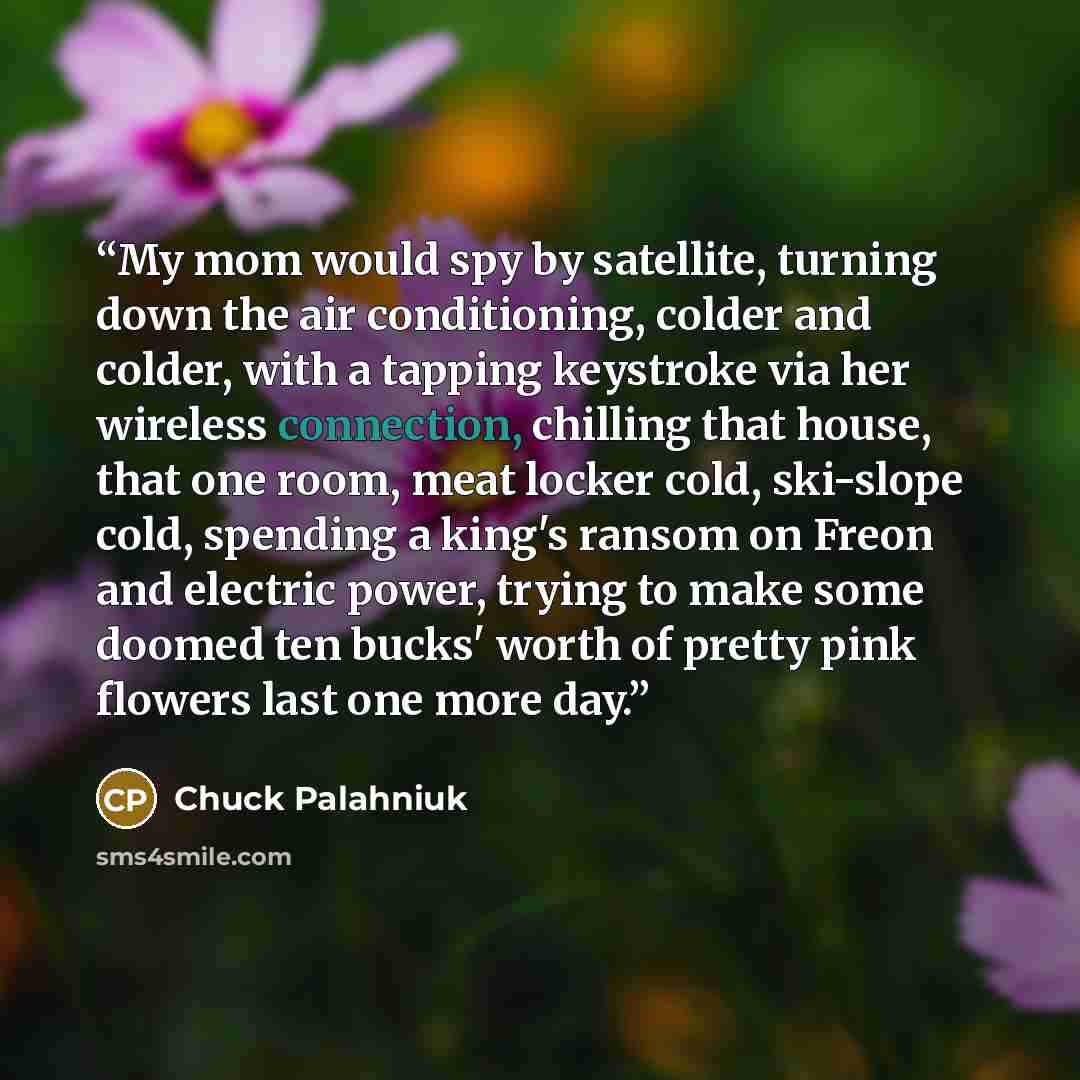 “My mom would spy by satellite, turning down the air conditioning, colder and colder, with a tapping keystroke via her wireless connection, chilling that house, that one room, meat locker cold, ski-slope cold, spending a king's ransom on Freon and electric power, trying to make some doomed ten…” quote by Chuck Palahniuk
