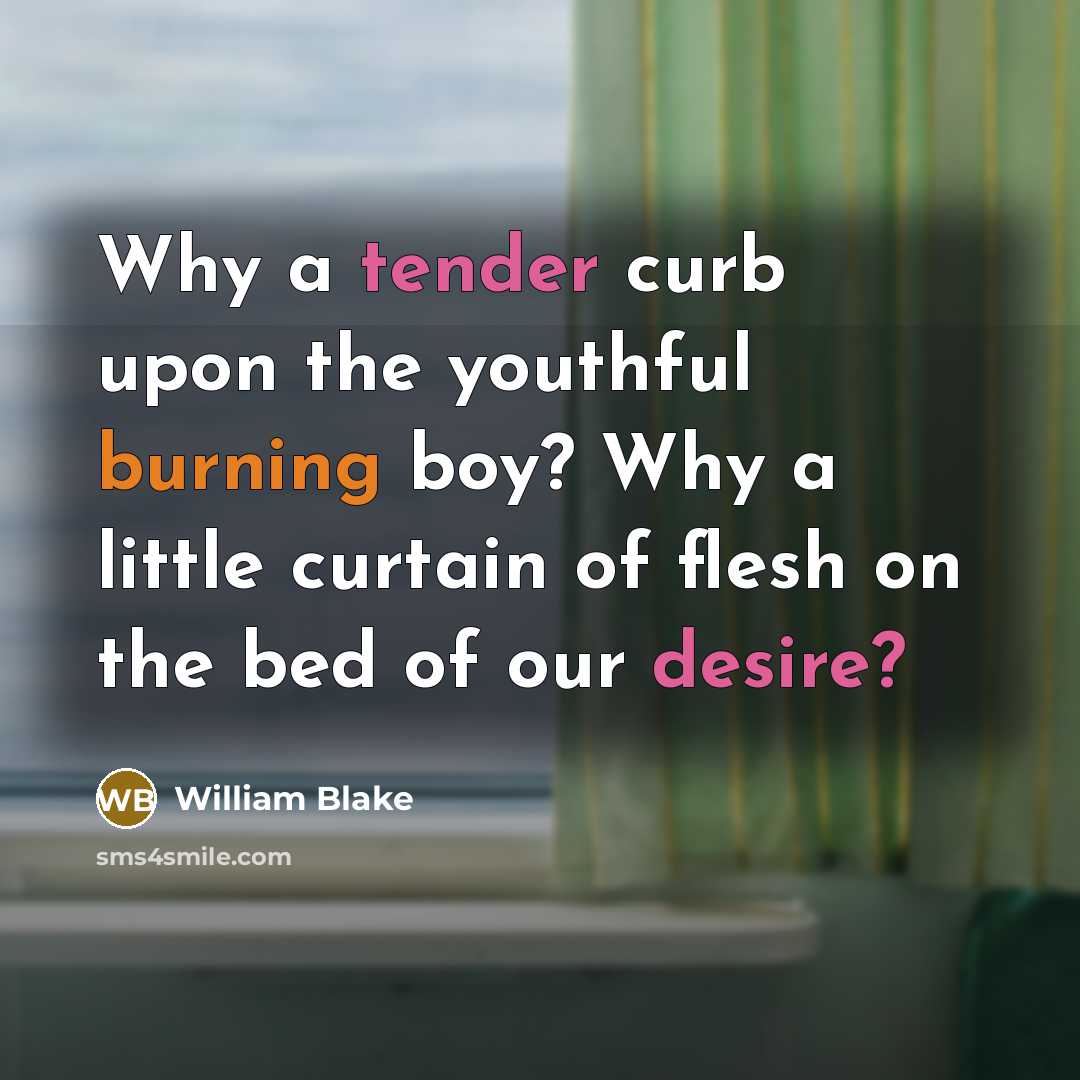 “Why a tender curb upon the youthful burning boy? Why a little curtain of flesh on the bed of our desire?” quote by William Blake