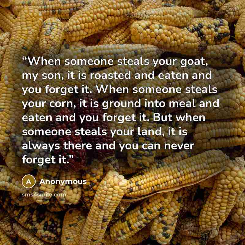 “When someone steals your goat, my son, it is roasted and eaten and you forget it. When someone steals your corn, it is ground into meal and eaten and you forget it. But when someone steals your land, it is always there and you can never forget it.” quote by Anonymous