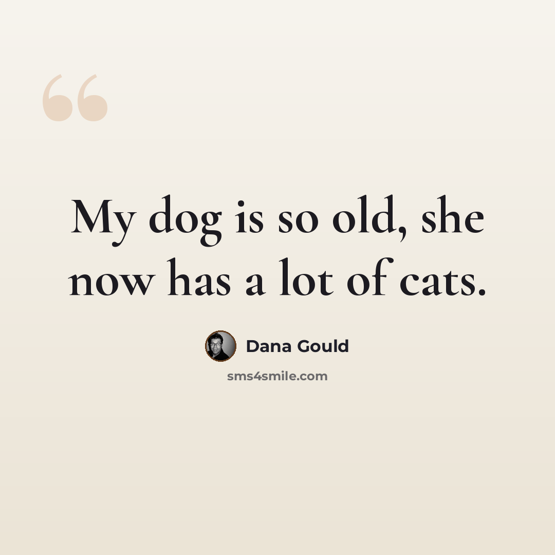 “My dog is so old, she now has a lot of cats.” quote by Dana Gould