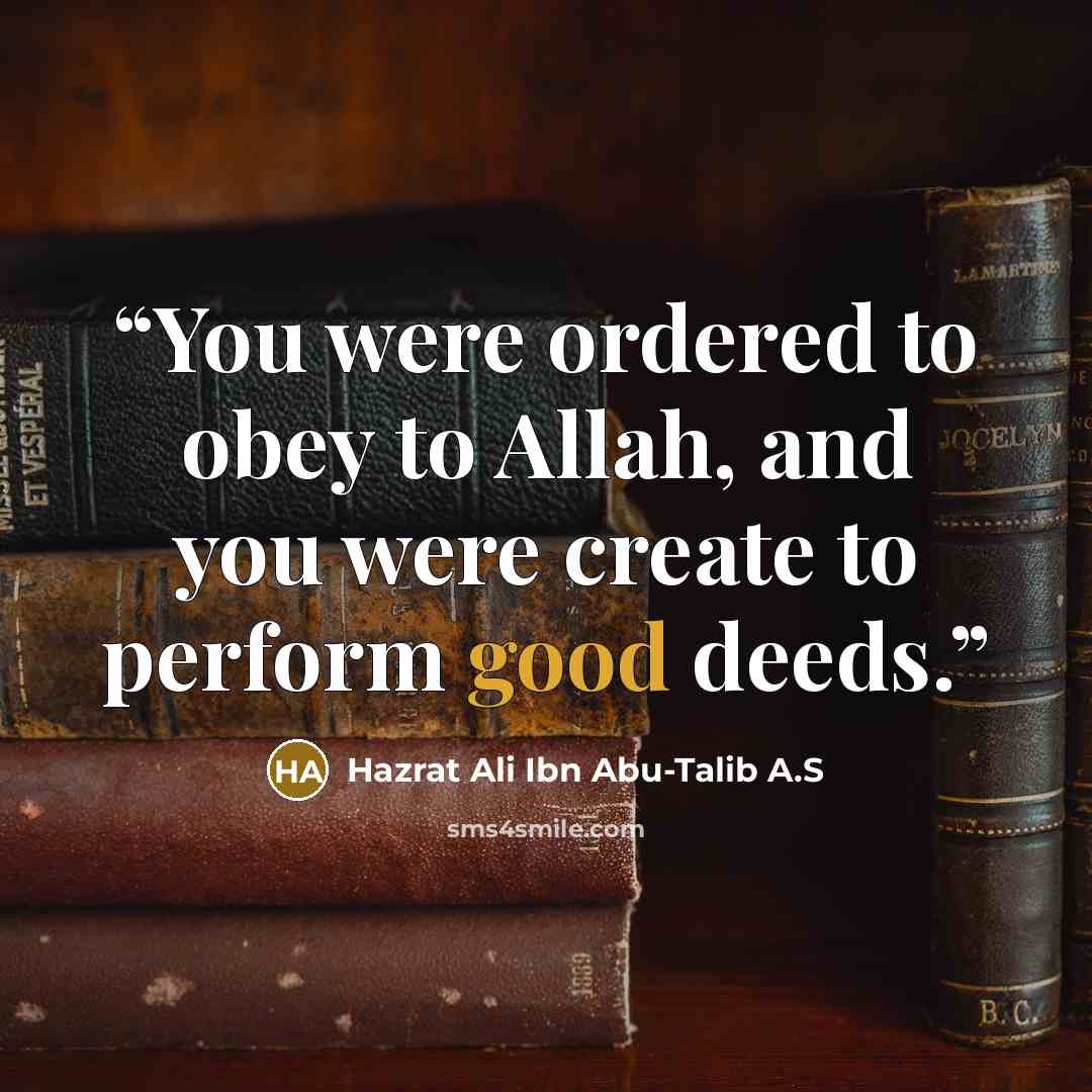 “You were ordered to obey to Allah, and you were create to perform good deeds.” quote by Hazrat Ali Ibn Abu-Talib A.S