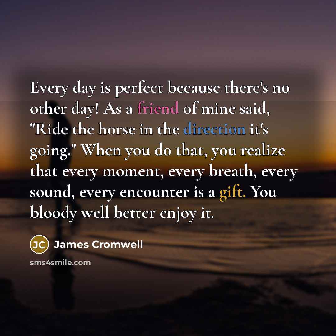 “Every day is perfect because there's no other day! As a friend of mine said, "Ride the horse in the direction it's going." When you do that, you realize that every moment, every breath, every sound, every encounter is a gift. You bloody well better enjoy it.” quote by James Cromwell