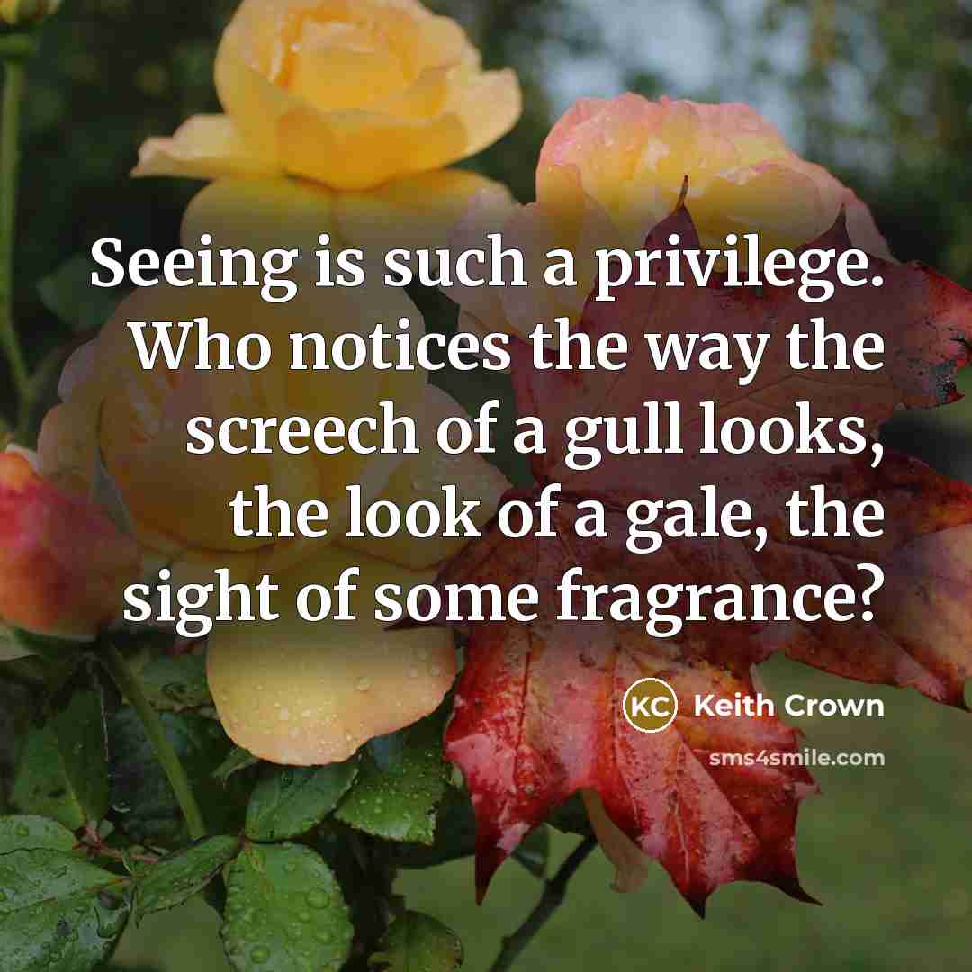 “Seeing is such a privilege. Who notices the way the screech of a gull looks, the look of a gale, the sight of some fragrance?” quote by Keith Crown