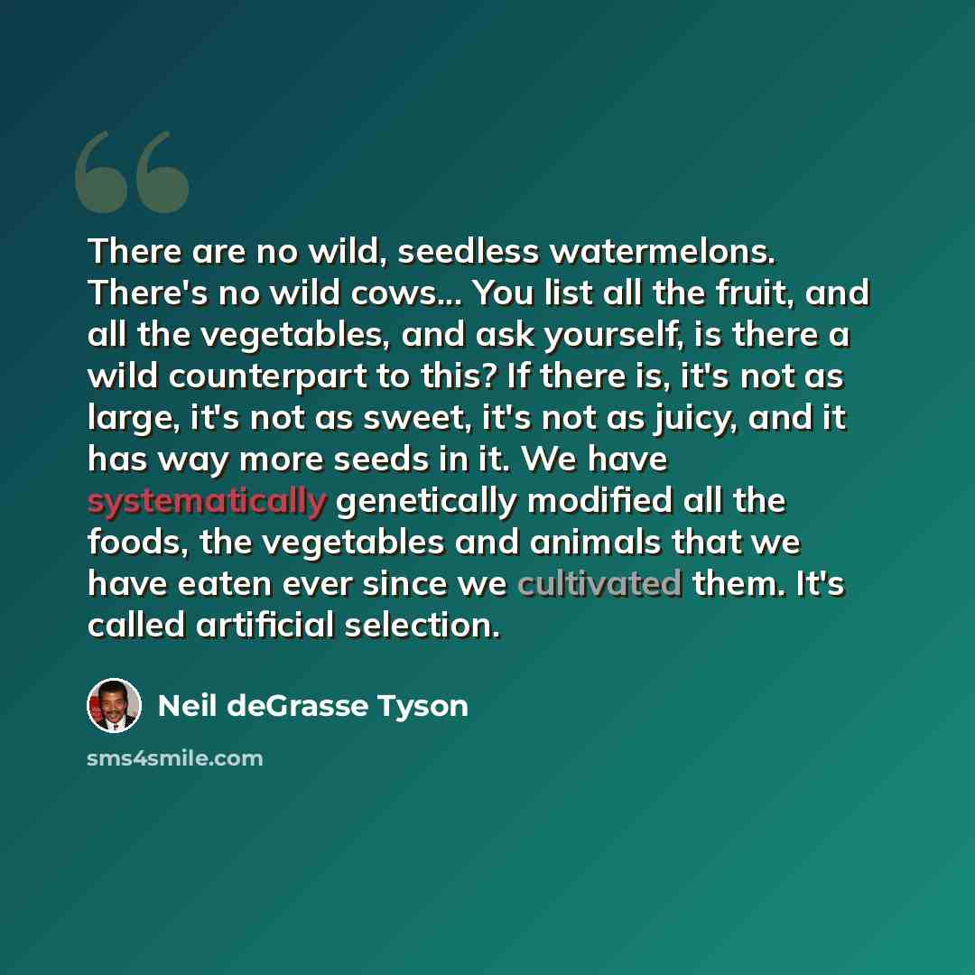 “There are no wild, seedless watermelons. There's no wild cows... You list all the fruit, and all the vegetables, and ask yourself, is there a wild counterpart to this? If there is, it's not as large, it's not as sweet, it's not as juicy, and it has way more seeds in it. We have systematically…” quote by Neil deGrasse Tyson