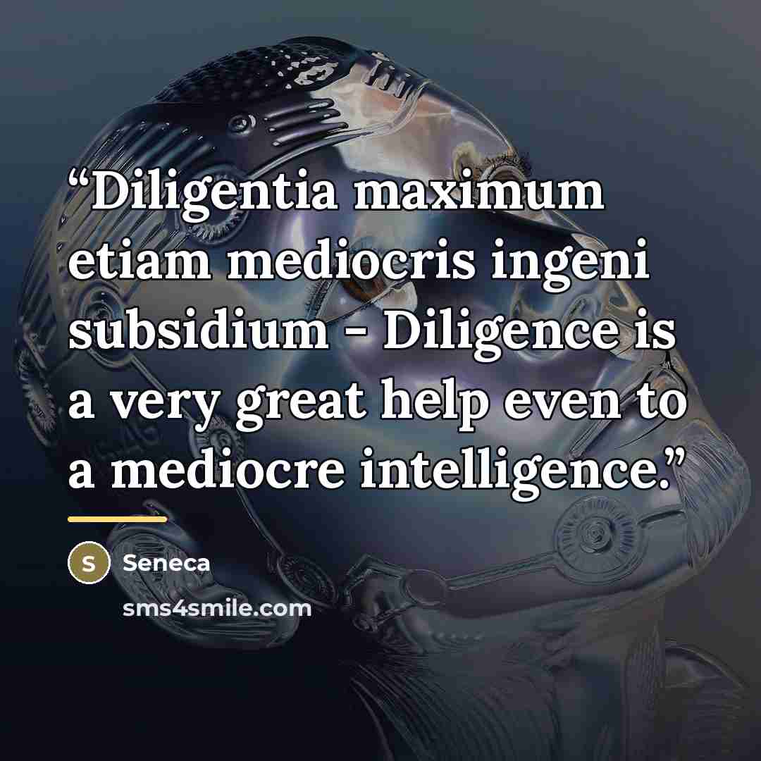 “Diligentia maximum etiam mediocris ingeni subsidium - Diligence is a very great help even to a mediocre intelligence.” quote by Seneca