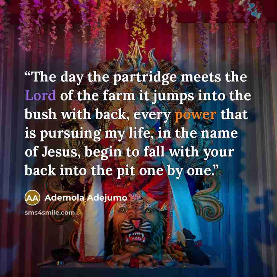 “The day the partridge meets the Lord of the farm it jumps into the bush with back, every power that is pursuing my life, in the name of Jesus, begin to fall with your back into the pit one by one.” quote by Ademola Adejumo
