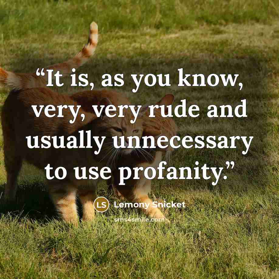 “It is, as you know, very, very rude and usually unnecessary to use profanity.” quote by Lemony Snicket
