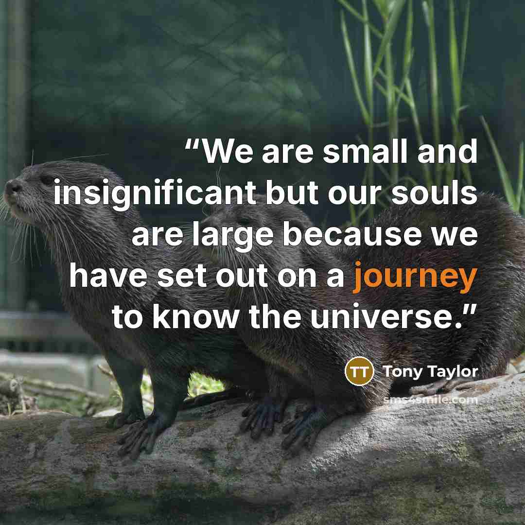 “We are small and insignificant but our souls are large because we have set out on a journey to know the universe.” quote by Tony Taylor