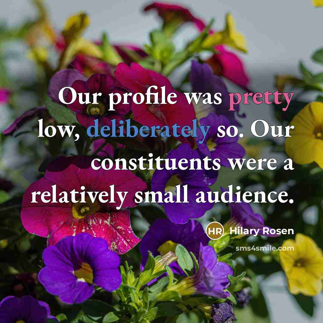“Our profile was pretty low, deliberately so. Our constituents were a relatively small audience.” quote by Hilary Rosen