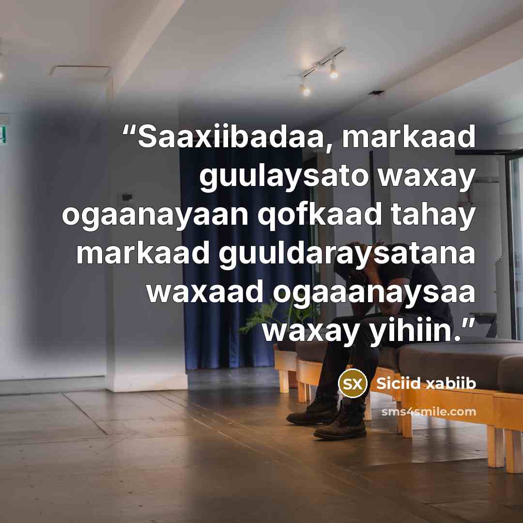 “Saaxiibadaa, markaad guulaysato waxay ogaanayaan qofkaad tahay markaad guuldaraysatana waxaad ogaaanaysaa waxay yihiin.” quote by Siciid xabiib