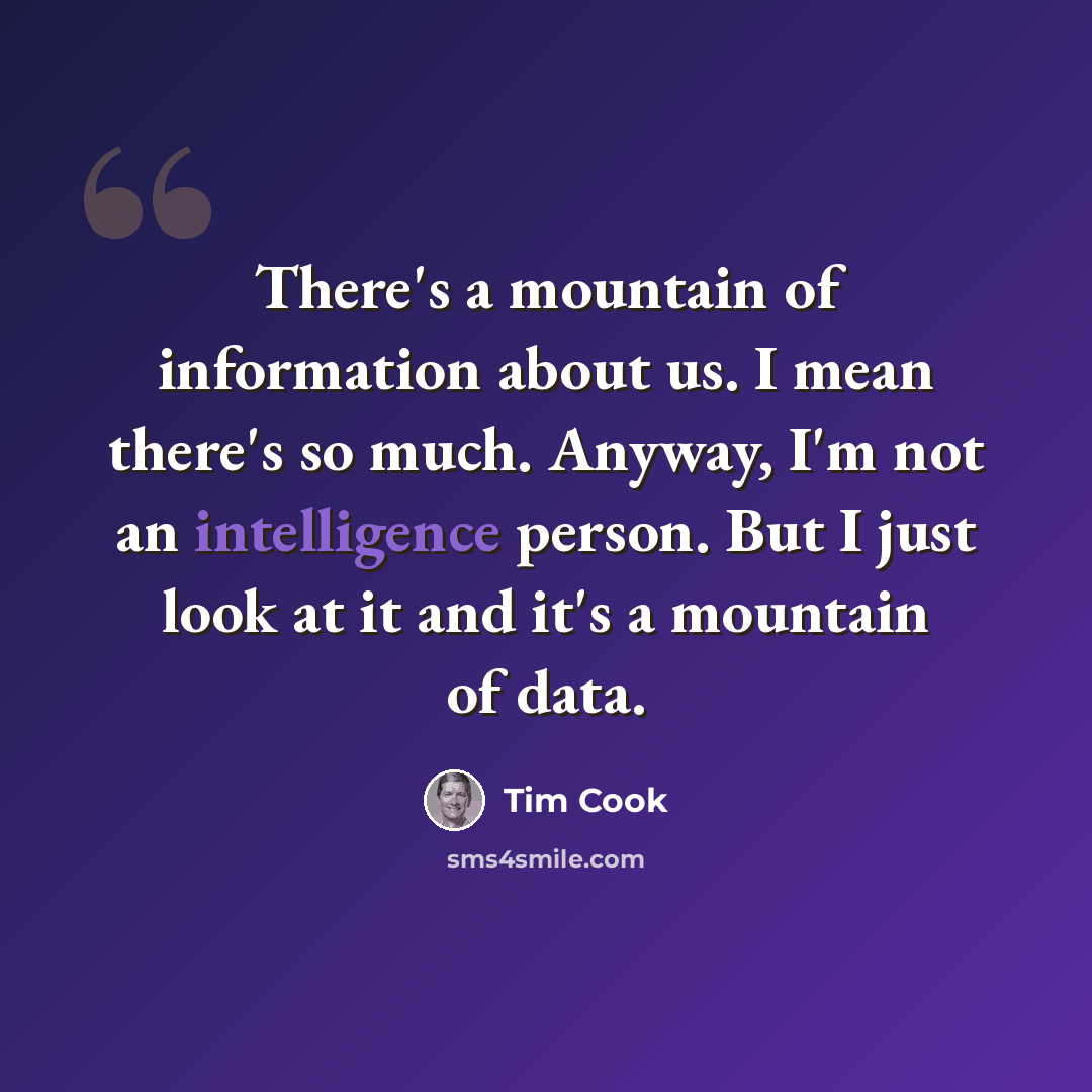 “There's a mountain of information about us. I mean there's so much. Anyway, I'm not an intelligence person. But I just look at it and it's a mountain of data.” quote by Tim Cook
