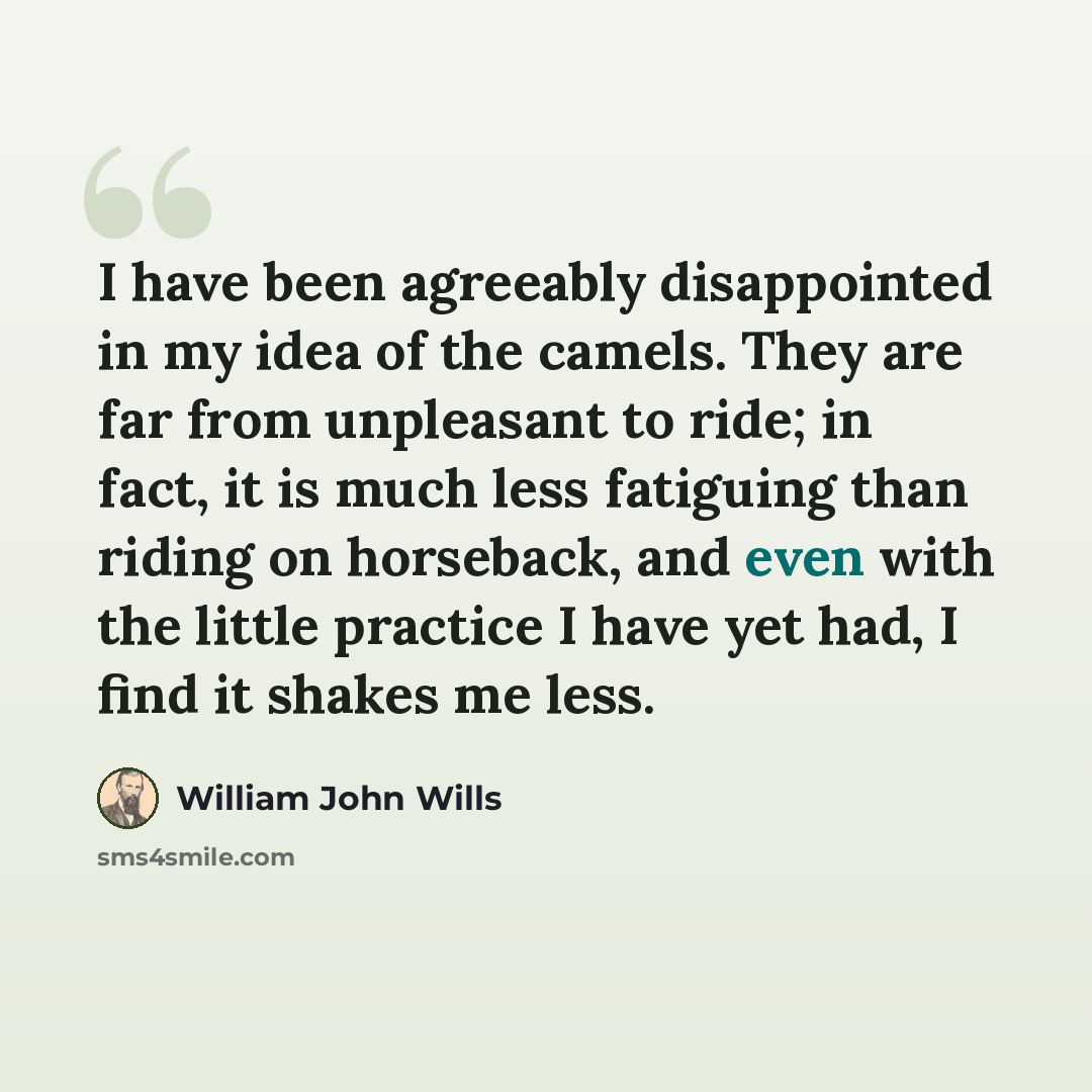 “I have been agreeably disappointed in my idea of the camels. They are far from unpleasant to ride; in fact, it is much less fatiguing than riding on horseback, and even with the little practice I have yet had, I find it shakes me less.” quote by William John Wills