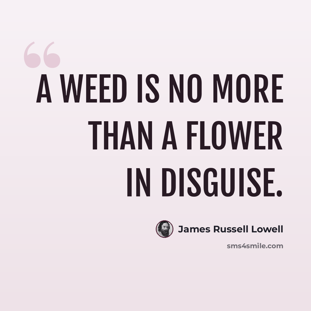 “A weed is no more than a flower in disguise.” quote by James Russell Lowell