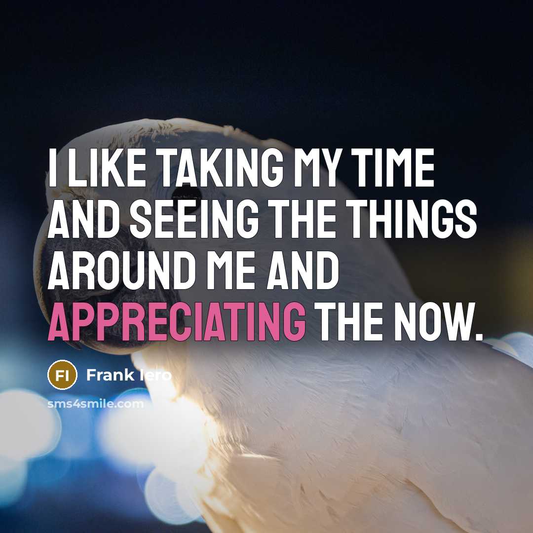 “I like taking my time and seeing the things around me and appreciating the now.” quote by Frank Iero