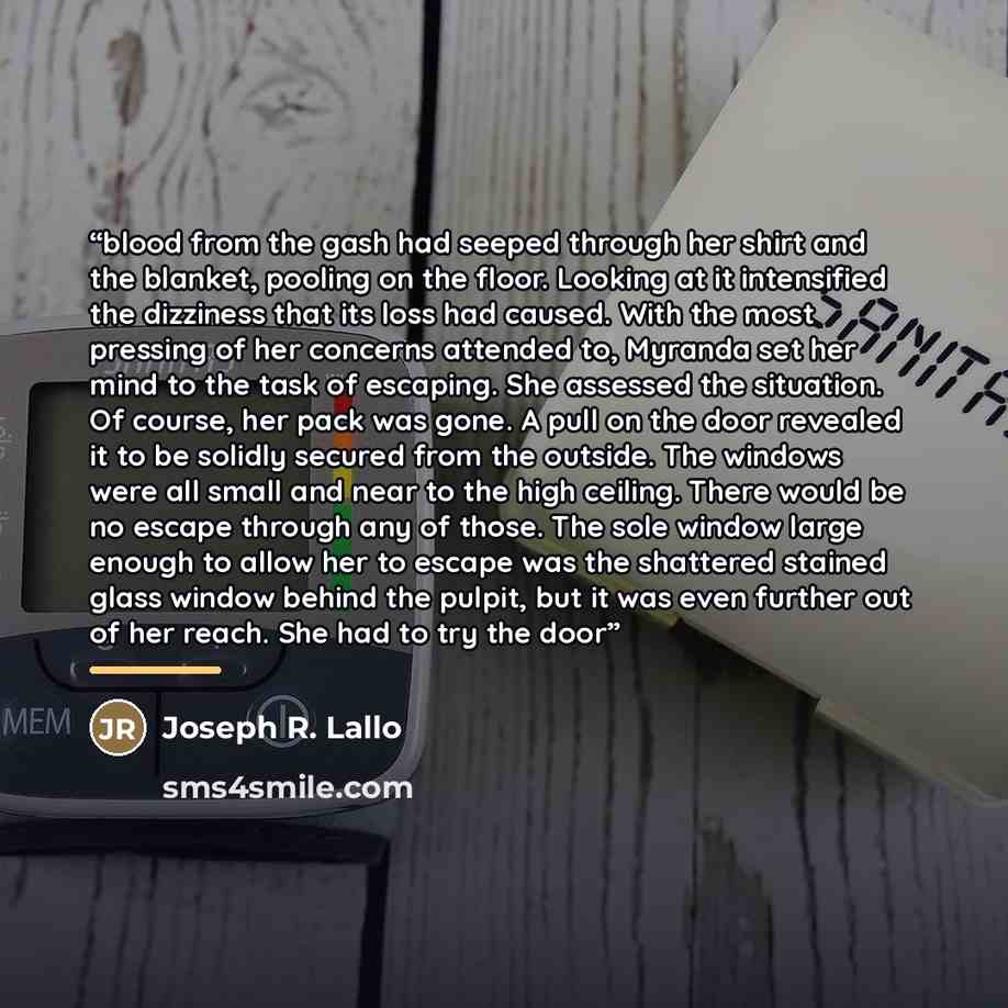 “blood from the gash had seeped through her shirt and the blanket, pooling on the floor. Looking at it intensified the dizziness that its loss had caused. With the most pressing of her concerns attended to, Myranda set her mind to the task of escaping. She assessed the situation. Of course, her…” quote by Joseph R. Lallo