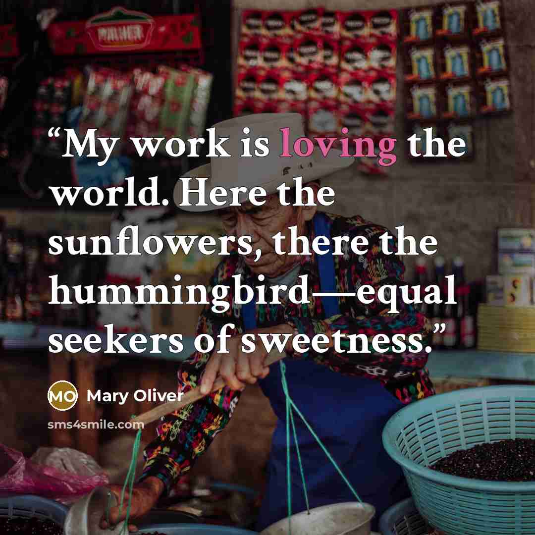 “My work is loving the world. Here the sunflowers, there the hummingbird—equal seekers of sweetness.” quote by Mary Oliver