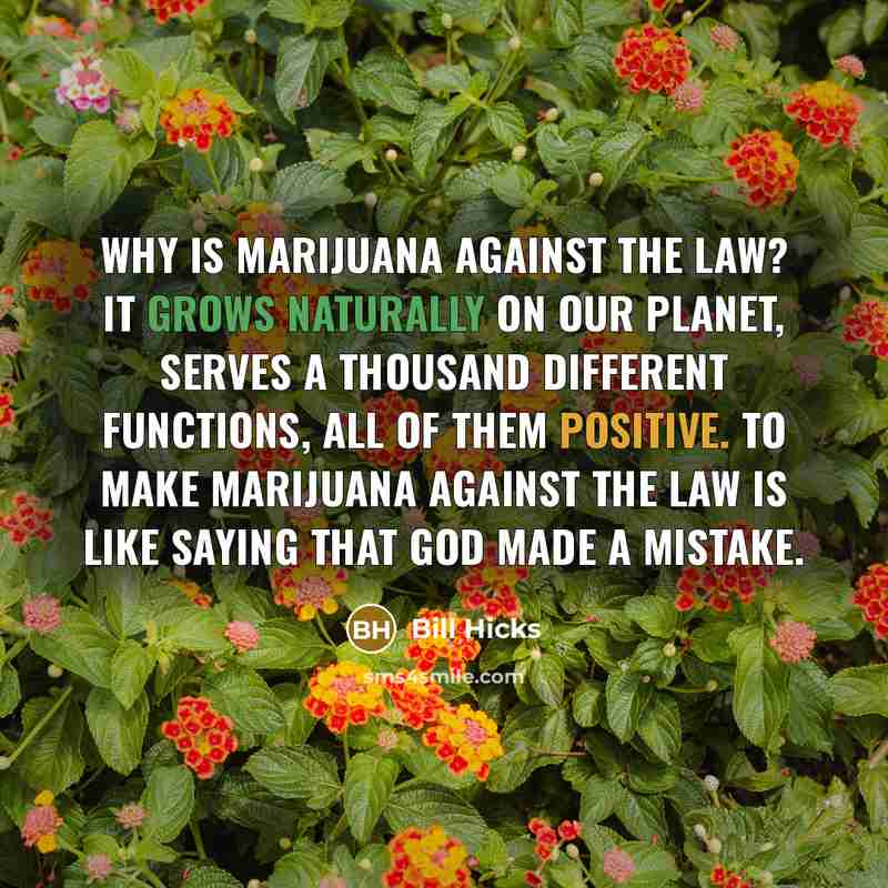 “Why is marijuana against the law? It grows naturally on our planet, serves a thousand different functions, all of them positive. To make marijuana against the law is like saying that God made a mistake.” quote by Bill Hicks